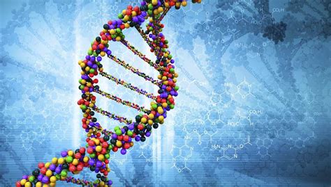 How Much Do Your Genetics Affect Your Fitness Wellness Pursuits