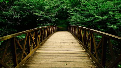 Most Beautiful Wooden Pathway Wallpaper Full Hd Pictures