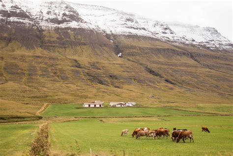 Photo Blog A Road Trip In Iceland Getaway Magazine
