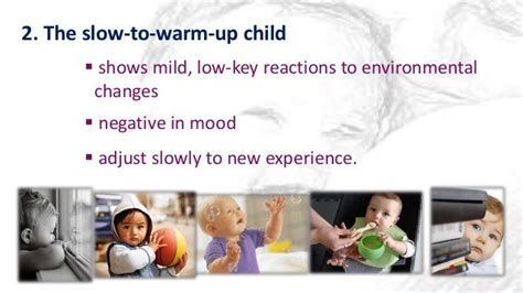 Socio Emotional Development Of Infants And Toddlers