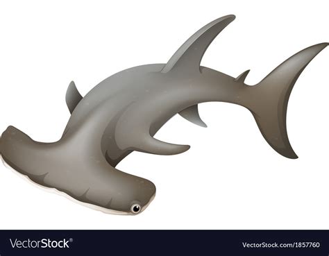 Free Free 328 Hammerhead Shark Svg Free SVG PNG EPS DXF File