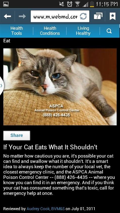 If you think your pet has eaten something potentially dangerous, call your veterinarian or a pet poison control. ANIMAL POISON CONTROL CENTER 1-888-426-4435 Maybe put this ...