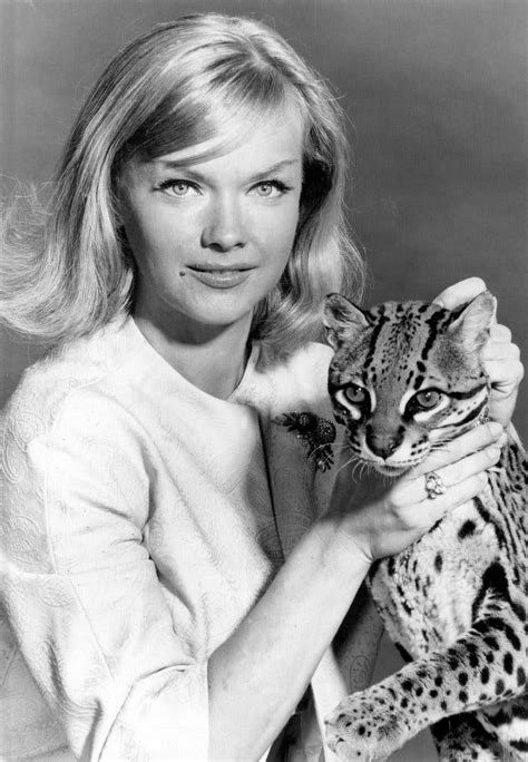 Anne Francis Actress In Tv Series ‘honey West Dies At 80 The New