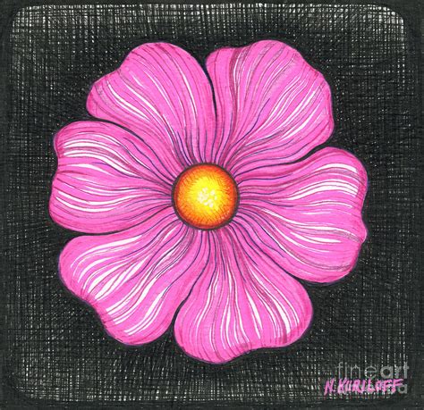 Pink Flower With Large Petals Drawing Pink Flower With Large Petals