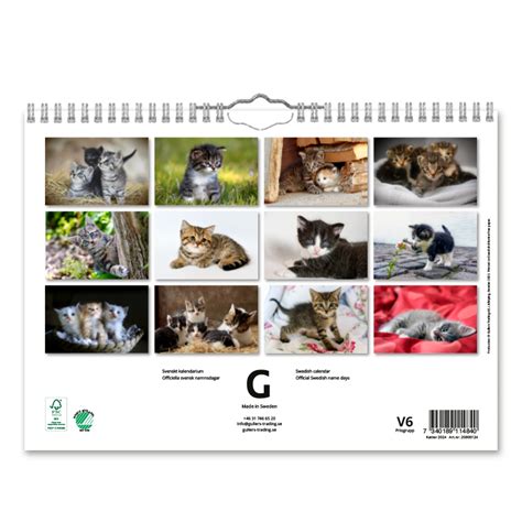 Väggkalender Katter Small 2024 Köp Online Perfekt Present Klarna