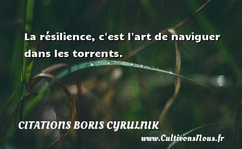 96 Proverbe Citation Resilience Citezfrais
