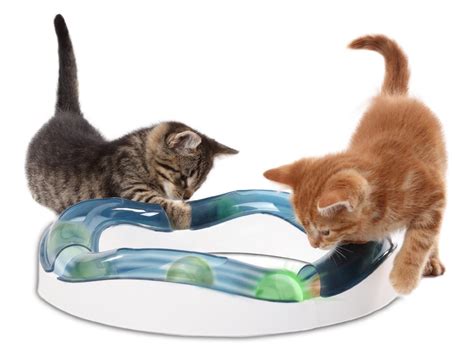 The 7 Best Battery Operated Toys To Keep Your Cat Active All Cats Matter