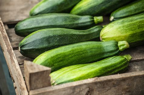 In the united states, they're called summer squash or zucchini. ズッキーニとは何科の野菜？旬の時期や種類・品種は？ - HORTI 〜ホルティ〜 by GreenSnap