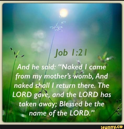 Job And He Said Naked I Came From My Mother S Womb And Naked Shall I