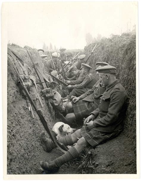 Sensuous Life In The Trenches The British Library
