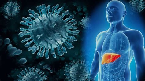 Hepatitis C La enfermedad que mata silenciosamente sin presentar síntomas La Verdad Noticias