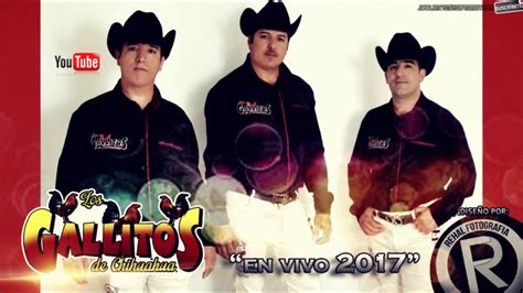Los Gallitos De Chihuahua Disco Completo 2017 En Vivo Evento