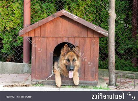 Doghouse For German Shepherd Size Petsidi