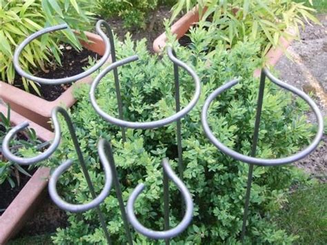 We mainly produce garden stakes, garden lights, fiberglass stakes, metal spiral stakes, garden tubes, weed barrier, shading net, tomato cage, plant support main item: 5 x "Loop-Style" Garden Plant Supports. Handcrafted from Solid 6mm Metal | Plant supports ...