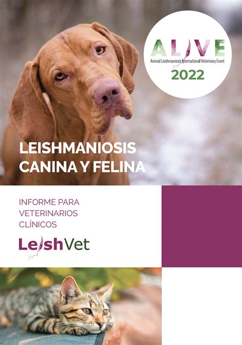 Leishmaniosis Canina Y Felina LeishVet