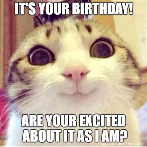 31 Funniest Cat Birthday Meme Birthday Meme