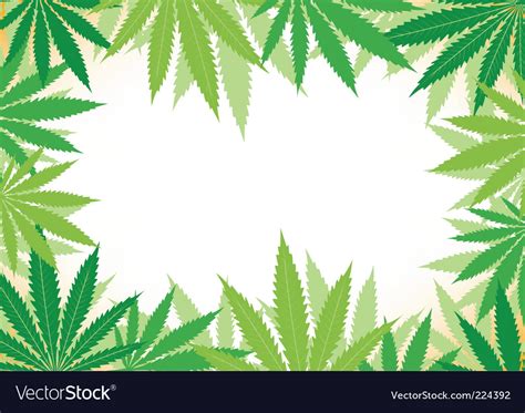 Hemp White Background Royalty Free Vector Image