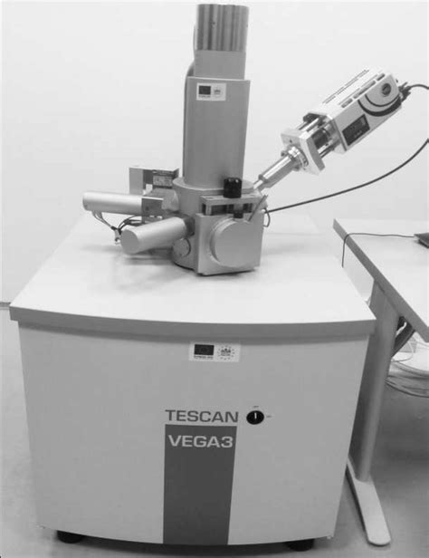 Ega 3 Tescan Thermoemission Electron Microscope Download Scientific