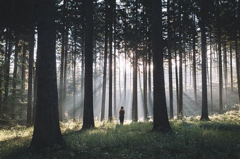 Lost In The Forest Via 500px Ifttt29ggvit Johannes Hulsch Flickr