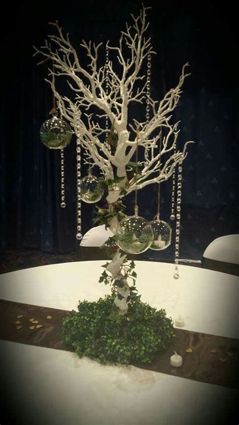 Our Beautiful Manzanita Tree Enchanted Forest Theme For