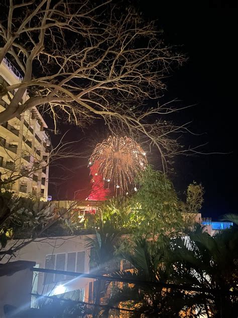 Stoner Bus ™ 🌊 🌊🌊 On Twitter Fireworks Every Night In Puerto Vallarta