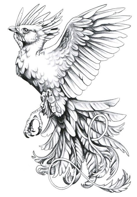 84 Best Images About Phoenix Tattoo On Pinterest Phoenix Back Tattoo