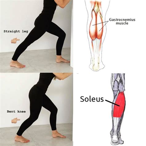 Issues In Your Calves It Might Be Trigger Points In The Soleus Muscles