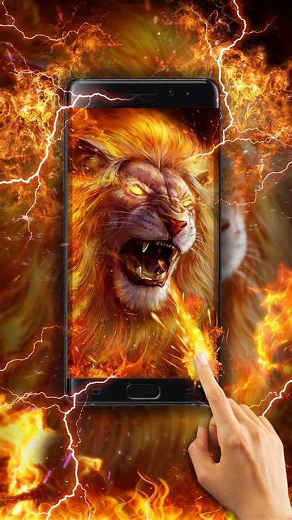 Lion Roaring Singa Emas Wallpapertip Apkpure Fire