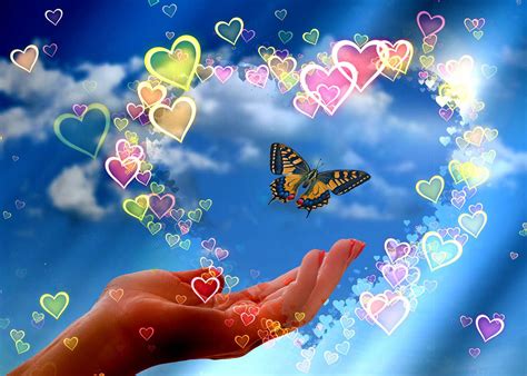 Butterfly Love — Shimmer Stitch