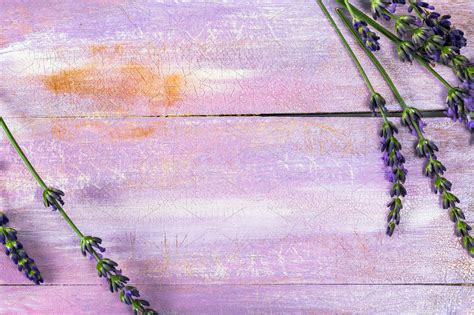 Lavender Background High Quality Nature Stock Photos Creative Market