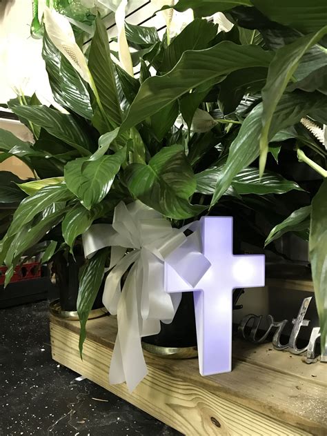 We provide delivery services to the following areas: Maryville, Alcoa