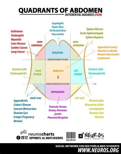 .anatomy, the anatomic information necessary for the practice of regional anesthesia must be specific to this functional regional anesthesia anatomy. 59 best images about Gastrointestinal Nursing on Pinterest