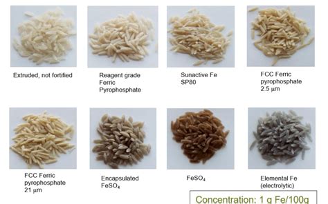 Micronutrient Fortified Rice P Image Eurekalert Science News Releases