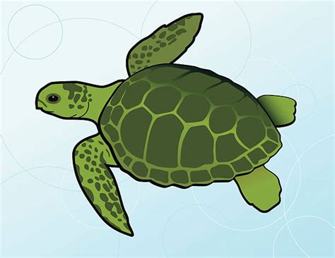 Clipart Sea Turtle 20 Free Cliparts Download Images On Clipground 2021