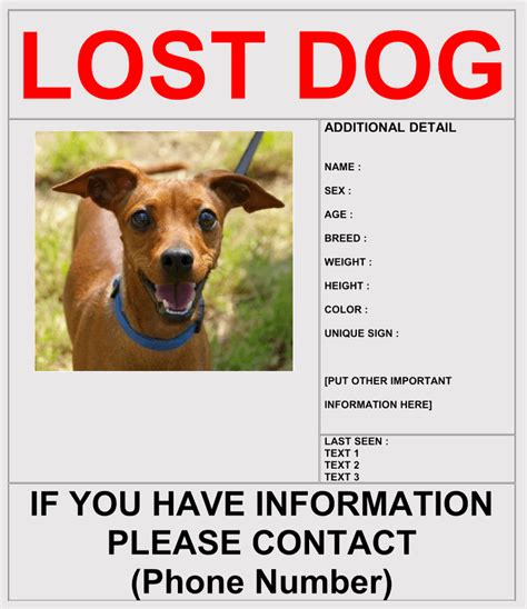 Lost Animal Flyer Template