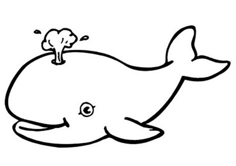 Free Printable Whale Coloring Pages For Kids