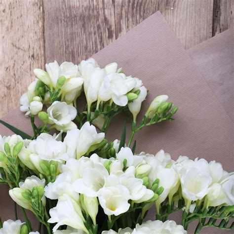 Freesias Auction Direct Flowers