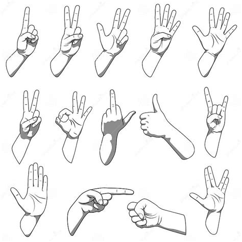 Different Hands Gestures Stock Vector Illustration Of Collection