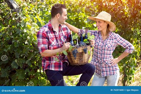 Cheerful Farmers Couple In Vineyard Stock Photo Image Of Person