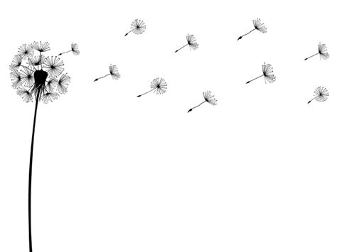 Die wanddekoration wird zu einem effektvollen rahmen für die hellen wände, für einen holztisch und für accessoires mit motiven aus. Wandtattoo Pusteblume in einer Brise bei Homesticker.de