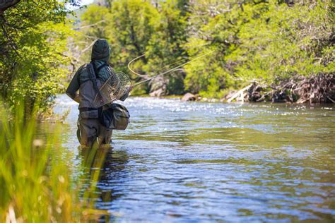 How To Choose A Fly Rod For Trout Fishing Hatch Magazine Fly