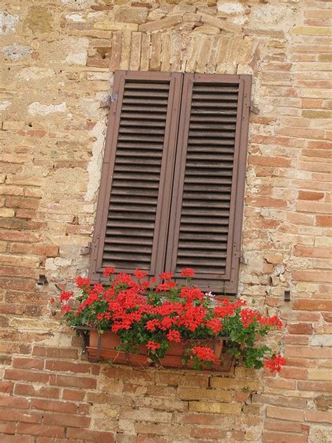 Ok, i have my window box.now what?! windowbox.com reveals the perfect way to. Red flowers in window box on brick wall, San Gimignano ...