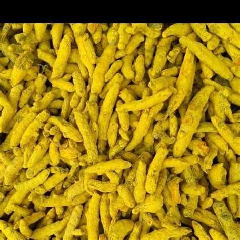 Finger Turmeric For Food Hand Picked At Rs 85 Kilogram In Erode ID