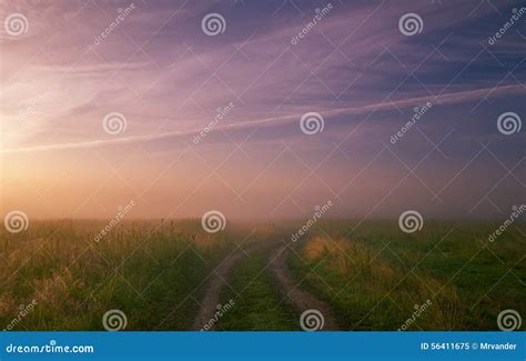 Foggy Morning Meadowsummer Landscape With Green Grass Road And Clouds