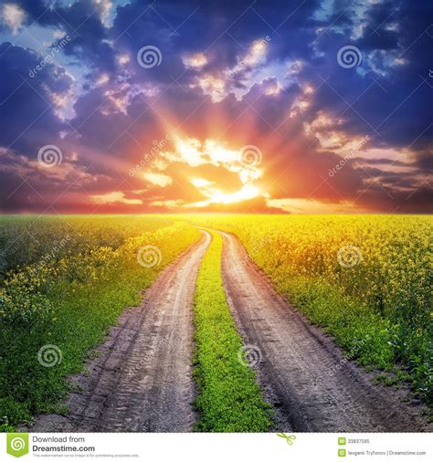 Country Road And Sunset Stock Image Image Of Bright