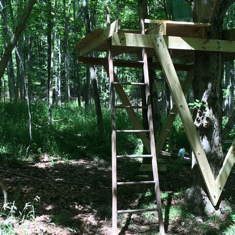 Add An Old Ladder Or Make One Out Of 2x4 And Youre Done Tree House