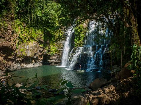 12 Reasons To Love Uvita Costa Rica Travel Tips And 19