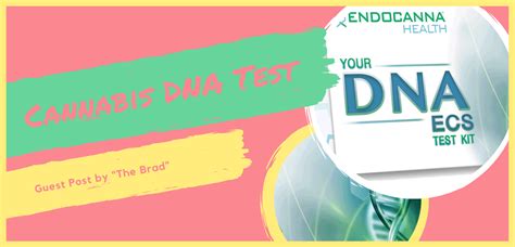 How 1 Cannabis Dna Test Can Help You Discover Your Special Strain The