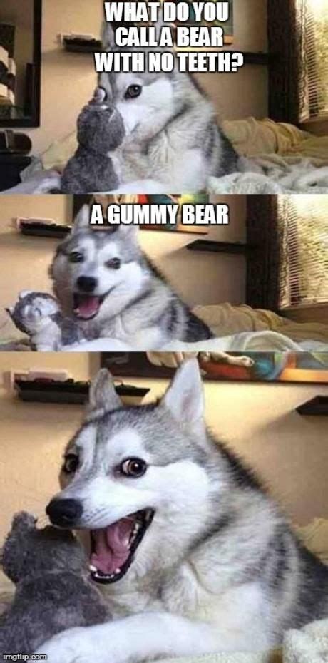 Punny Gummy Funny Animal Jokes Funny Dog Jokes Dog Jokes
