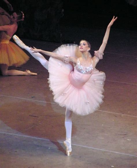 Alina Somova Ballet Ballet Skirt Women